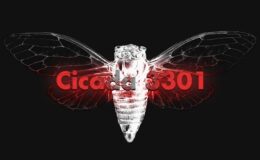 Cicada-3301