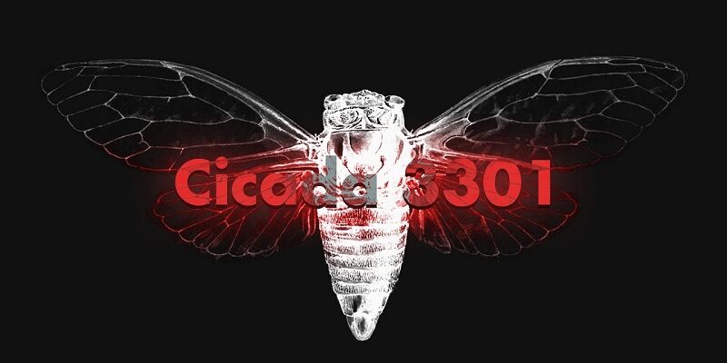 Cicada-3301