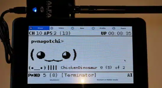 Pwnagotchi présentation visuelle de m'appareil